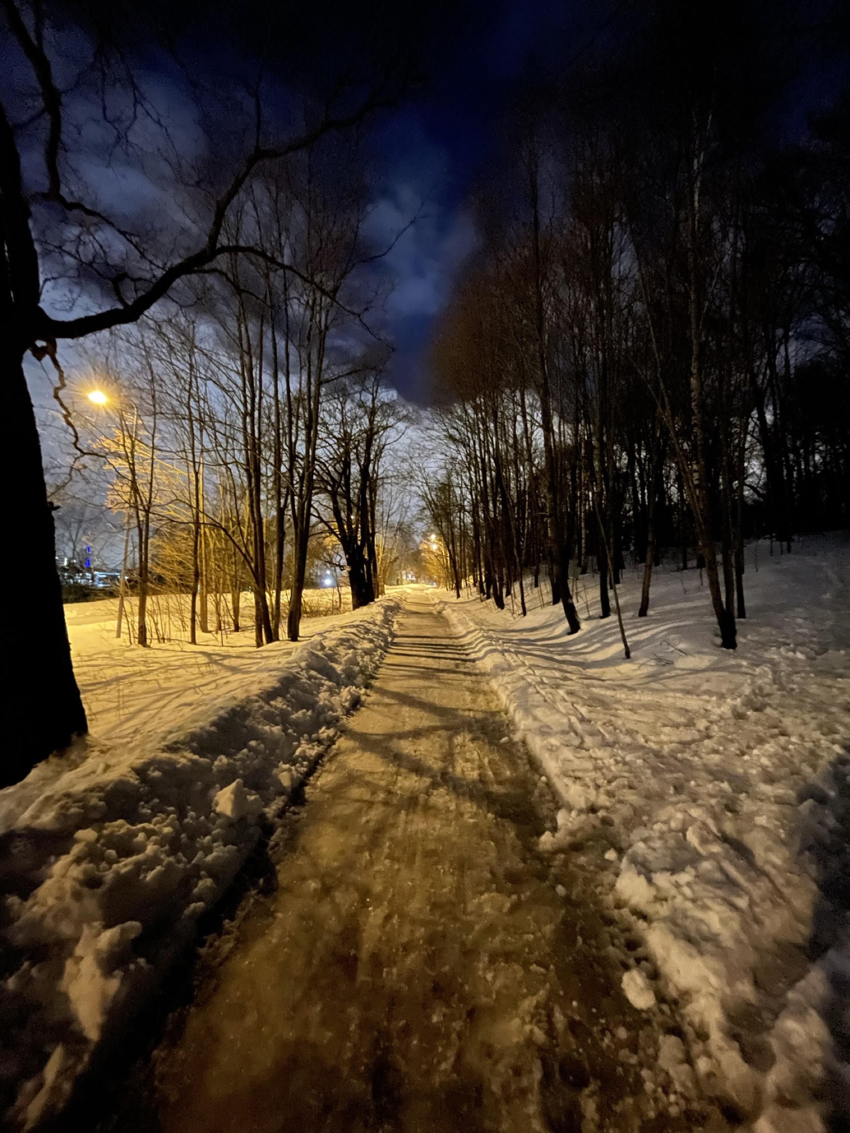 Untitled Evening Walk