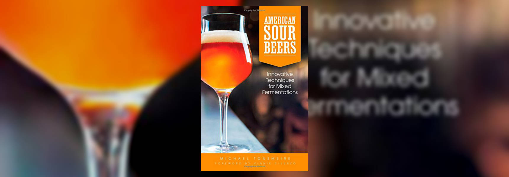 American Sour Beer book cover